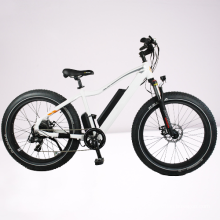 aluminum lady ebike electric bike 36v 250w 350w electric bicycle